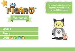Picaro – Niveau 6