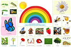 Petit à Petit – Programme d&rsquo;éveil et de logique