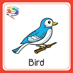 Garden of colors KGI